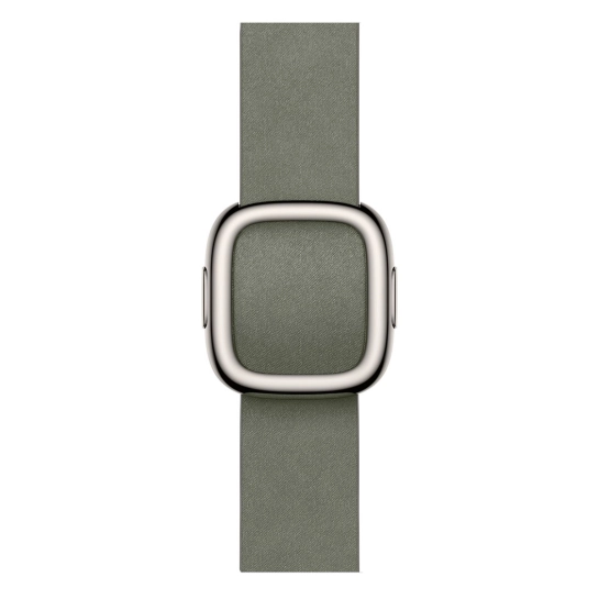 Ремешок Apple Modern Buckle Sage Gray 42 мм Small (MGG94ZM/A)