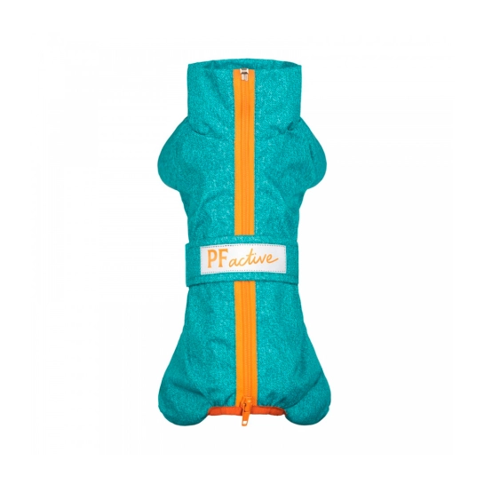 Дождевик Pet Fashion «Rain» для такс, размер S2, бирюза (PR242578)