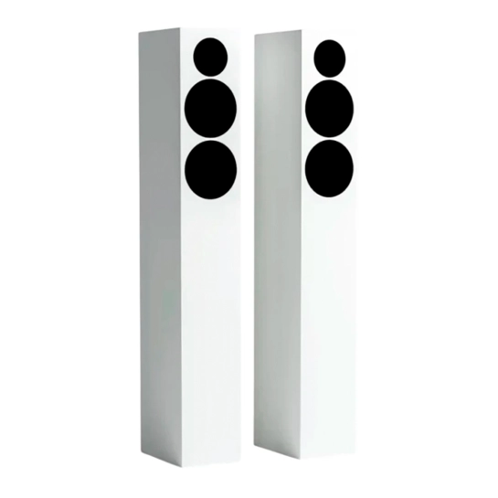 Акустическая система Tone Factory Speaker L Satin White