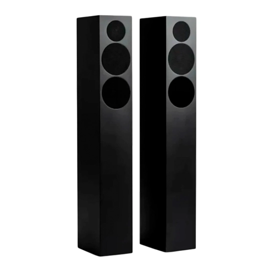 Акустическая система Tone Factory Speaker L Satin Black