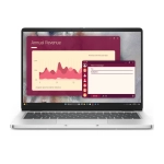 Ноутбук Dell Pro 14 Platinum Silver (PB14264)