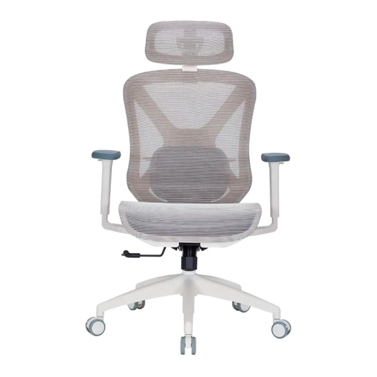 Офісне крісло OfficePro Atlas OC630-W-LG-LG