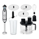 Блендер погружной Rotex RTB810-B