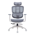 Офісне крісло OfficePro Skyline OC750-W-DG-DG