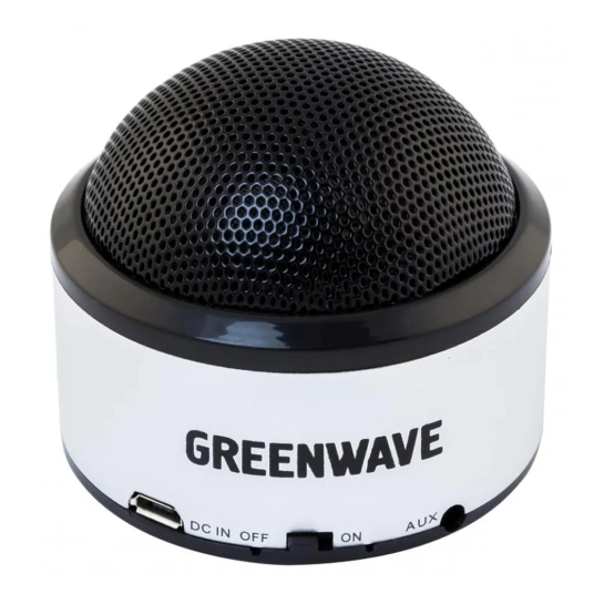 Портативная акустика Greenwave PS-300M Silver-Black (R0015123)