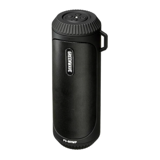 Портативная акустика Greenwave PS-601WP Black (R0015299)